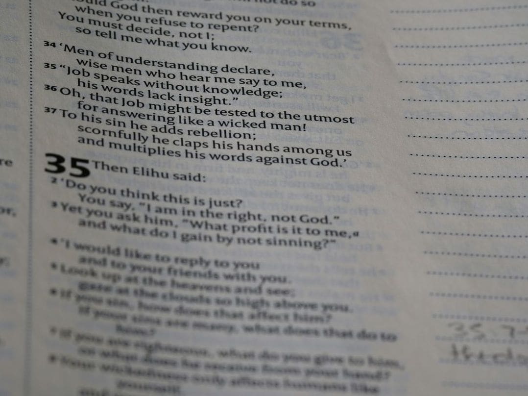 Vocabulario polaco útil para viajar, estudiar o trabajar