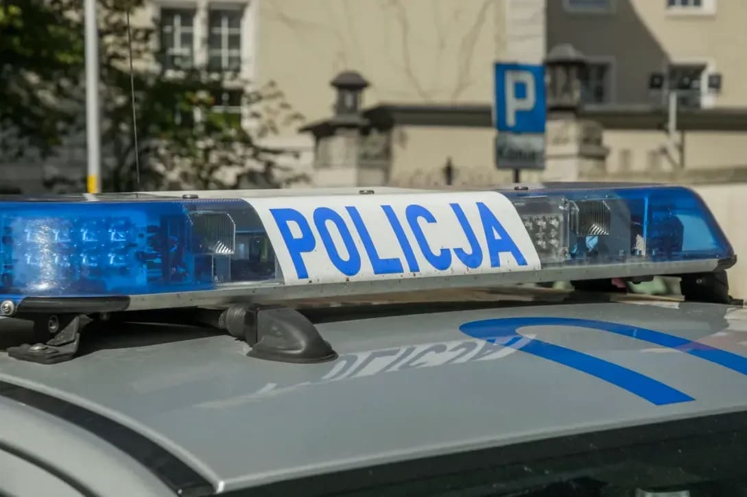 Cursos intensivos de polaco
